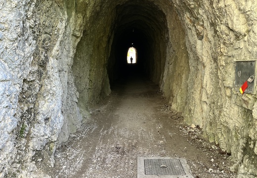 23-05-20 12-13-22 5494